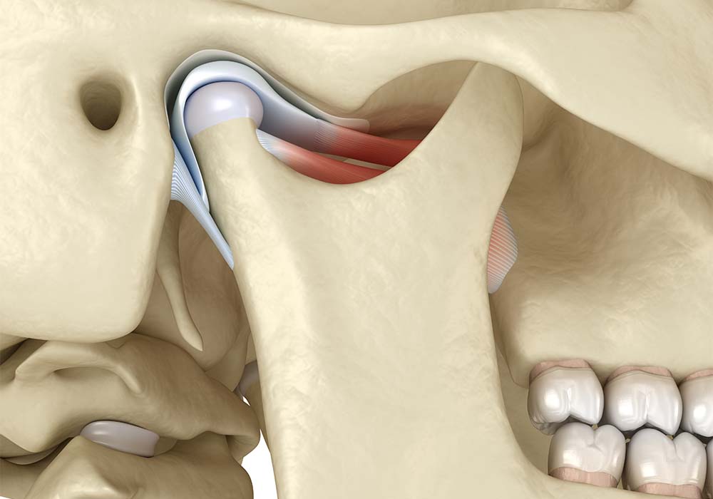 Jaw and Temporomandibular Joint: Anatomy
